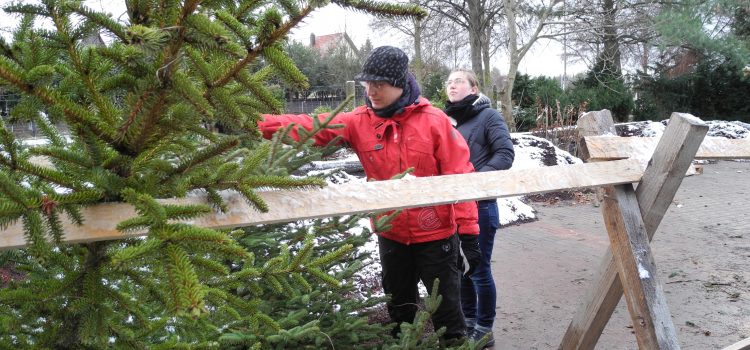 Weihnachtsbäume für „Nachbarn in Not“ Weihnachtsbäume für „Nachbarn in Not“