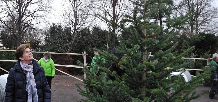 Weihnachtsbäume bei der Firma Walker Weihnachtsbäume bei der Firma Walker