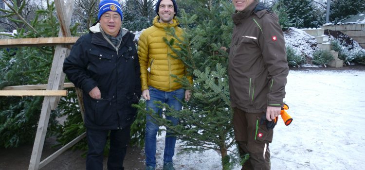 Eindrücke vom Weihnachtsbaumverkauf bei Firma Walker