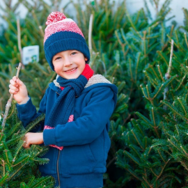 Weihnachtsbäume für „Nachbarn in Not“ startet eine Woche später