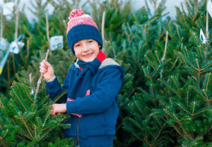 Weihnachtsbaumverkauf bei Firma Walker
am
Samstag, 10.12.2022 ab 8 Uhr